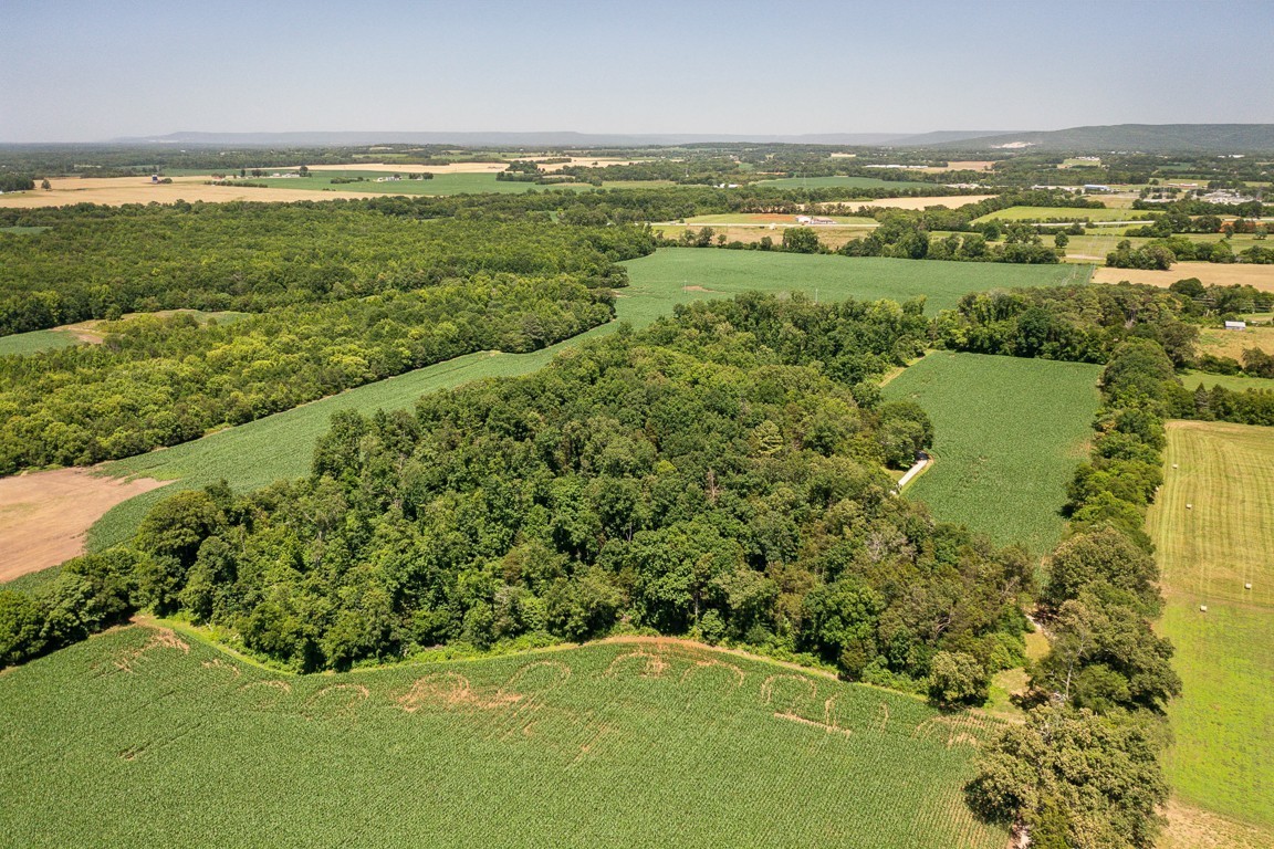 481 Winding Path