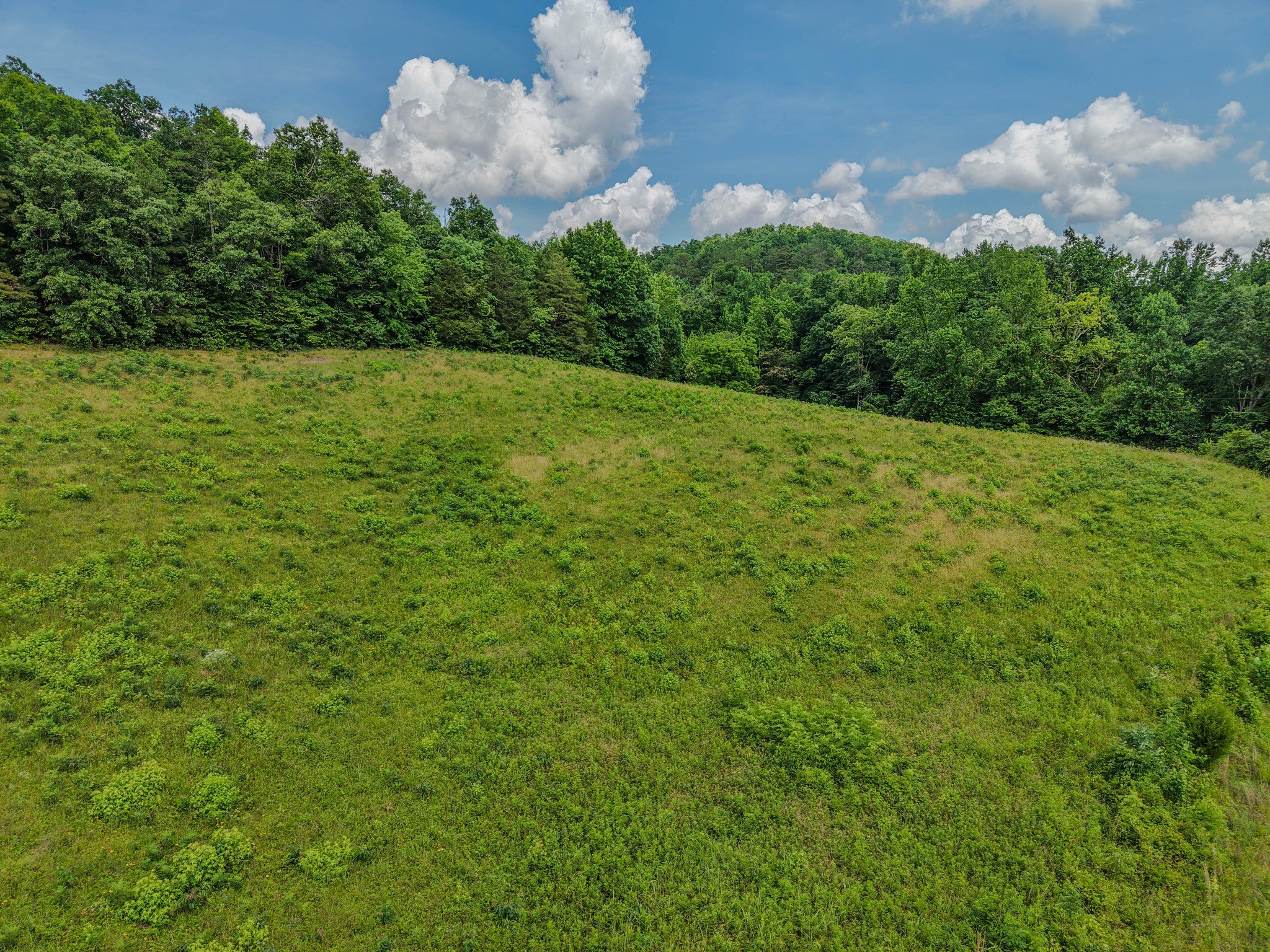 0 Rayburn Creek Rd