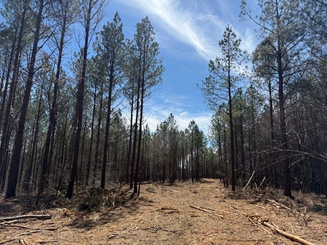 2 Hohenwald HWY