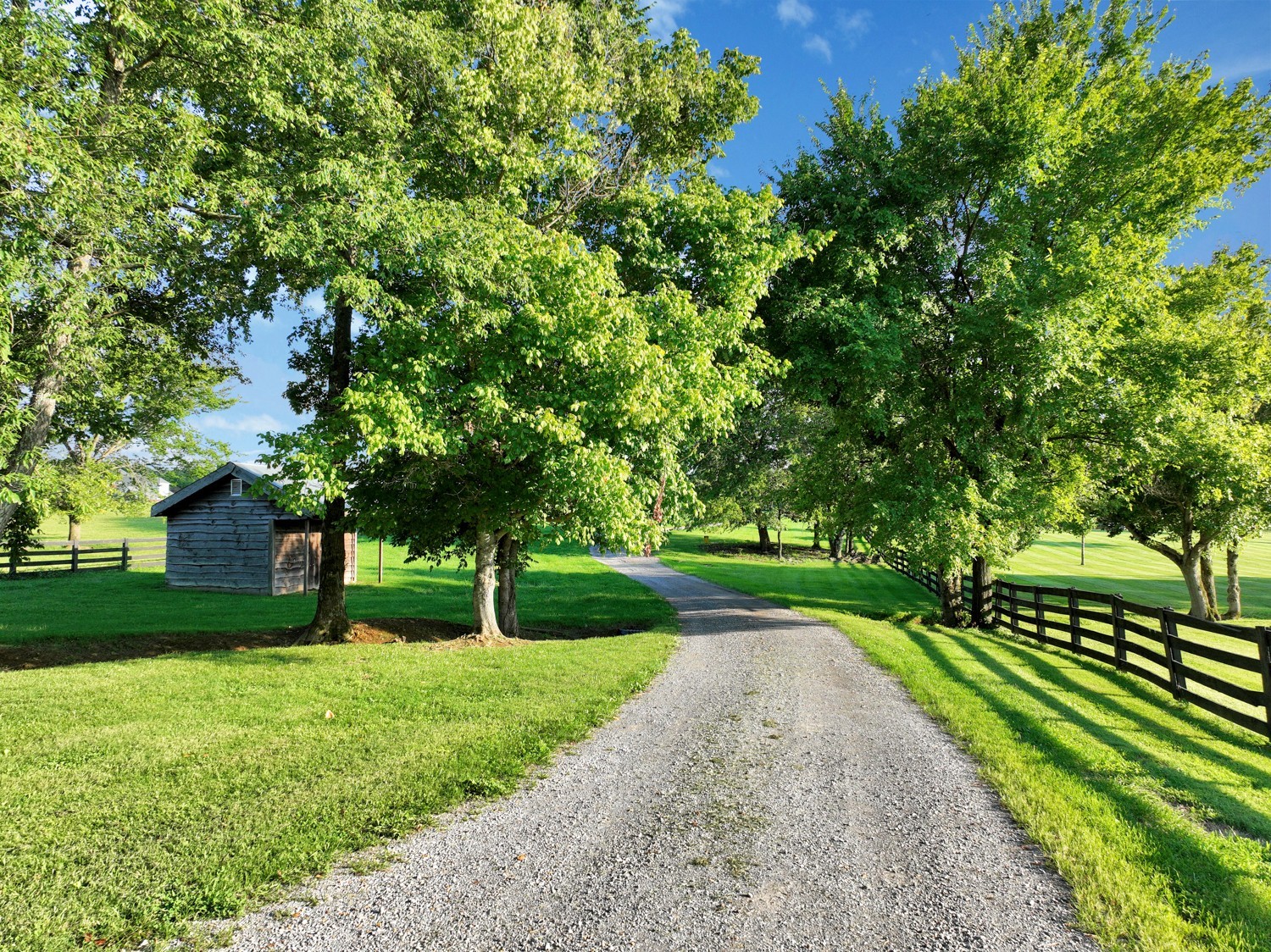 Cross Plains, Tennessee, 37049, United States, 4 Bedrooms Bedrooms, ,3 BathroomsBathrooms,Residential,Active,2023002