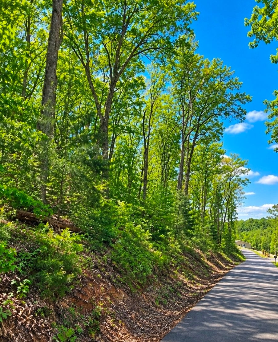 1 Trail Lane