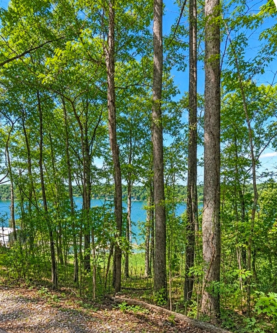1 Trail Lane