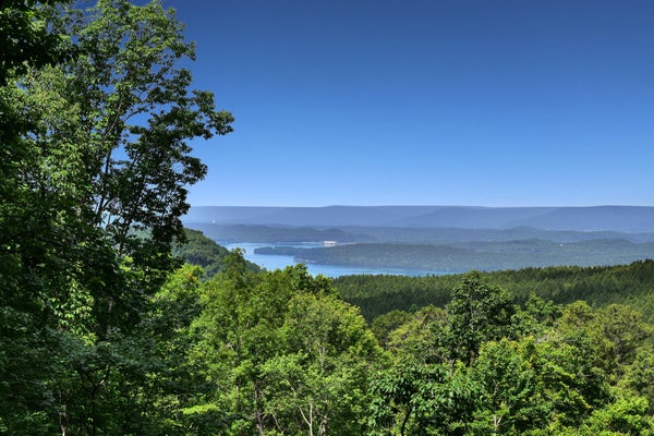 0 SPLIT RAIL WAY, GUILD, TN 37340 - Image d7c7bc49291ecfbc62f18928cfc670df/2379730630