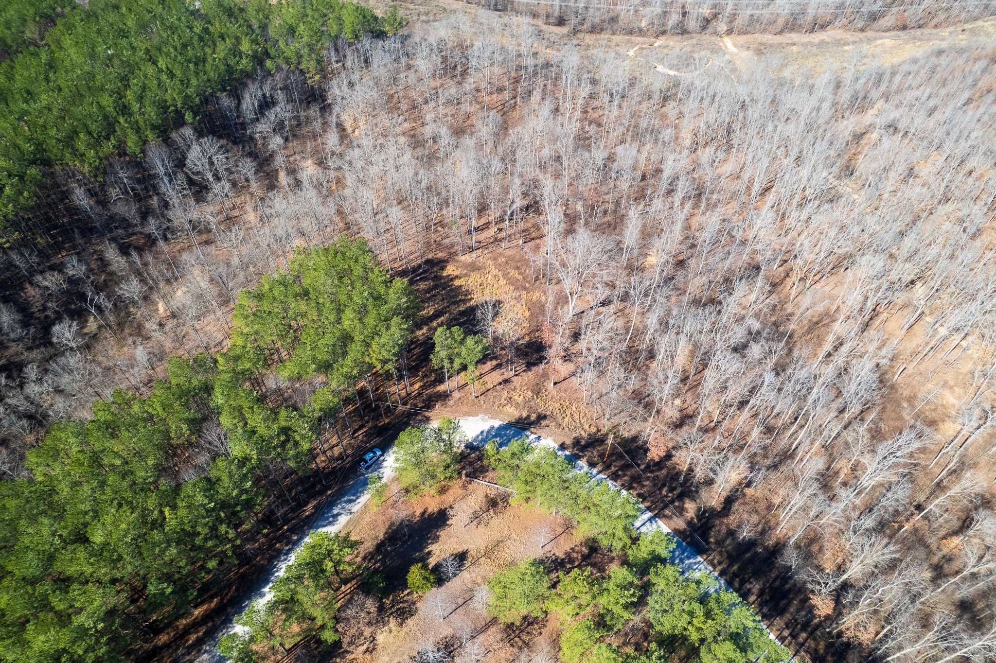 2340 Bear Hollow Drive