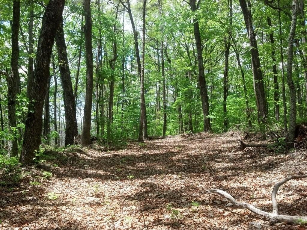 0 Sequatchie Mountain Road