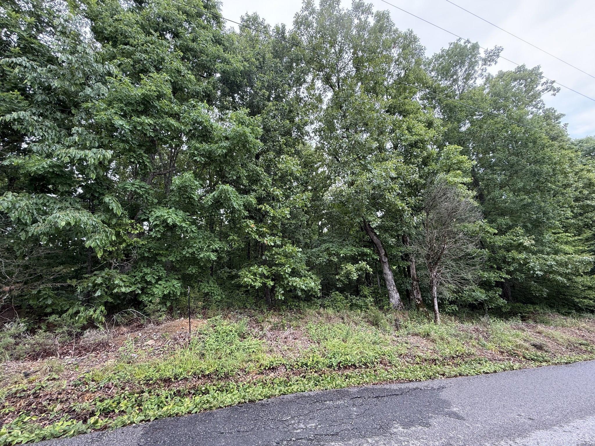 2 Anglin Ridge Rd