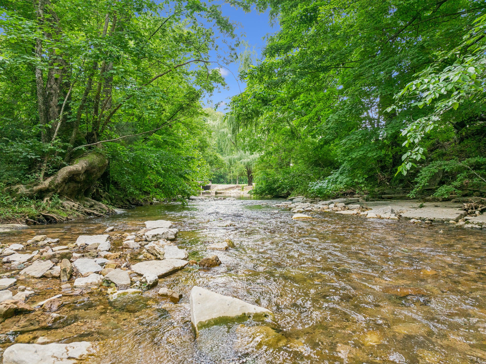 8663 Dog Creek Rd