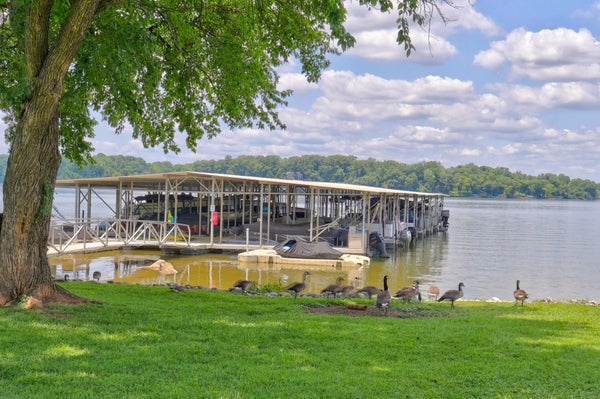 105 TANASI SHR, GALLATIN, TN 37066 - Image d86e2b1e11981487c5f4f7db592d856a/2143276844