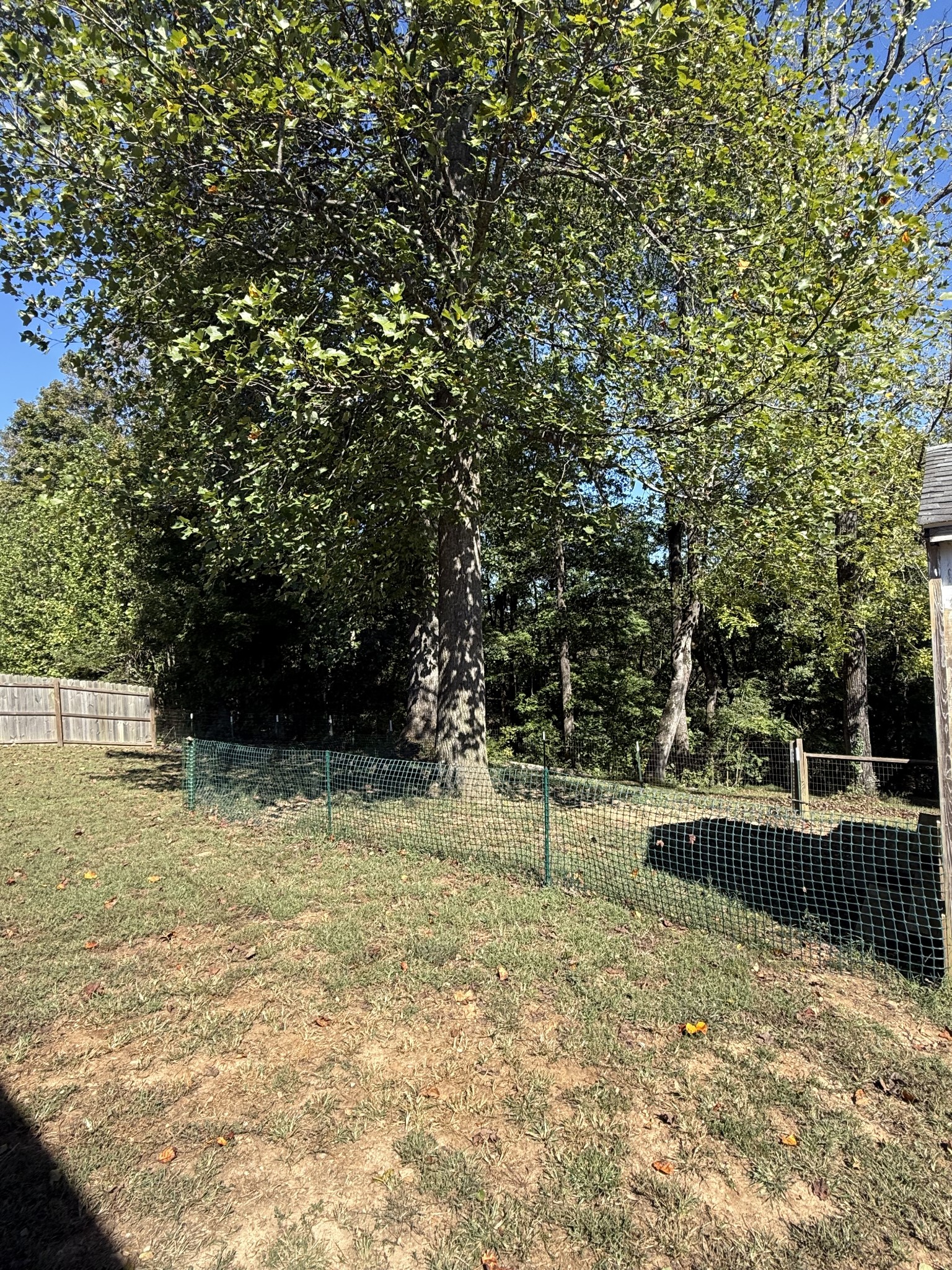 445 Marys Ln
