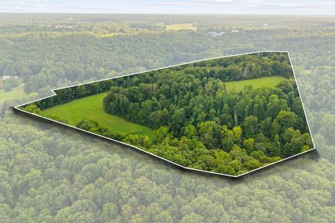 1150 Bell Hollow Rd Vanleer TN 37181