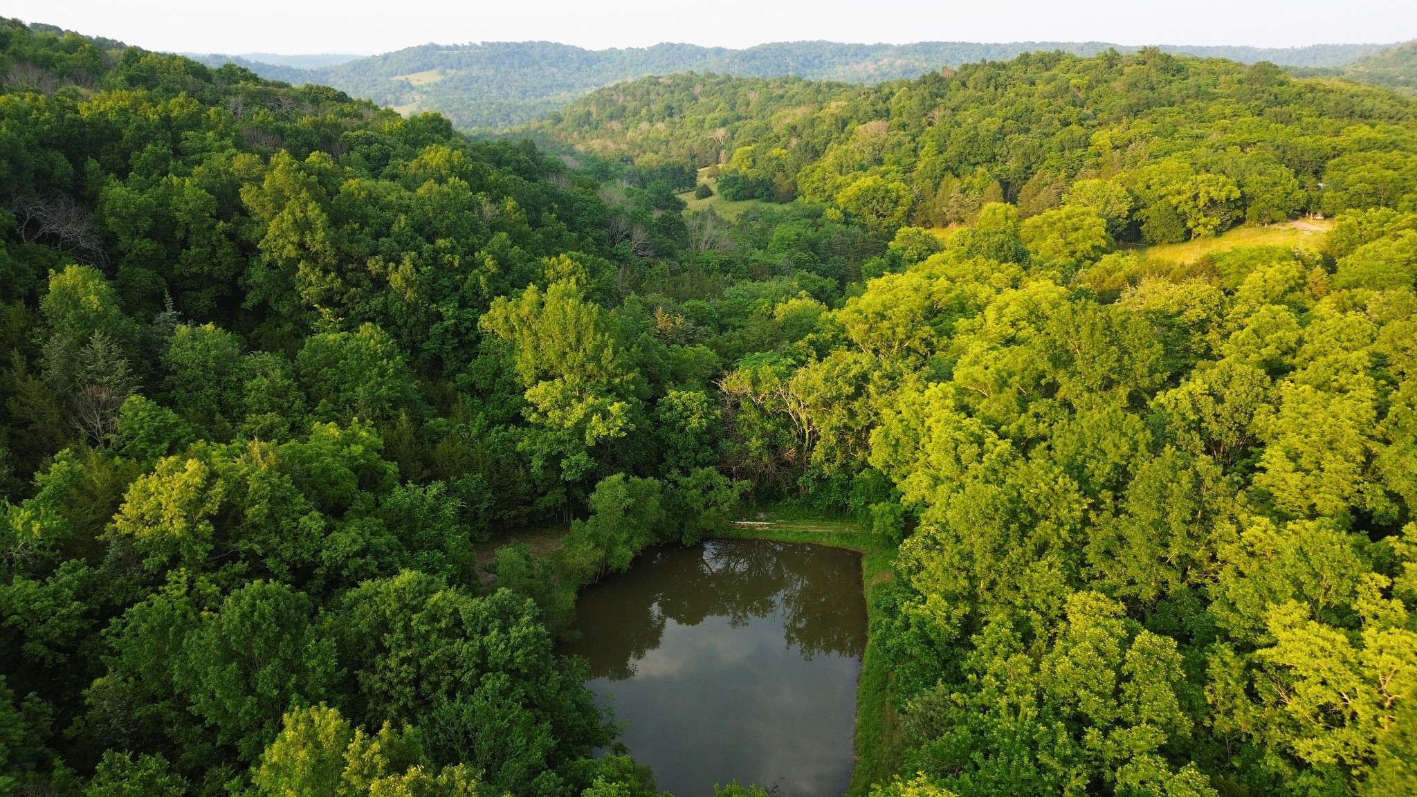 1441 Bradyville Hill Rd
