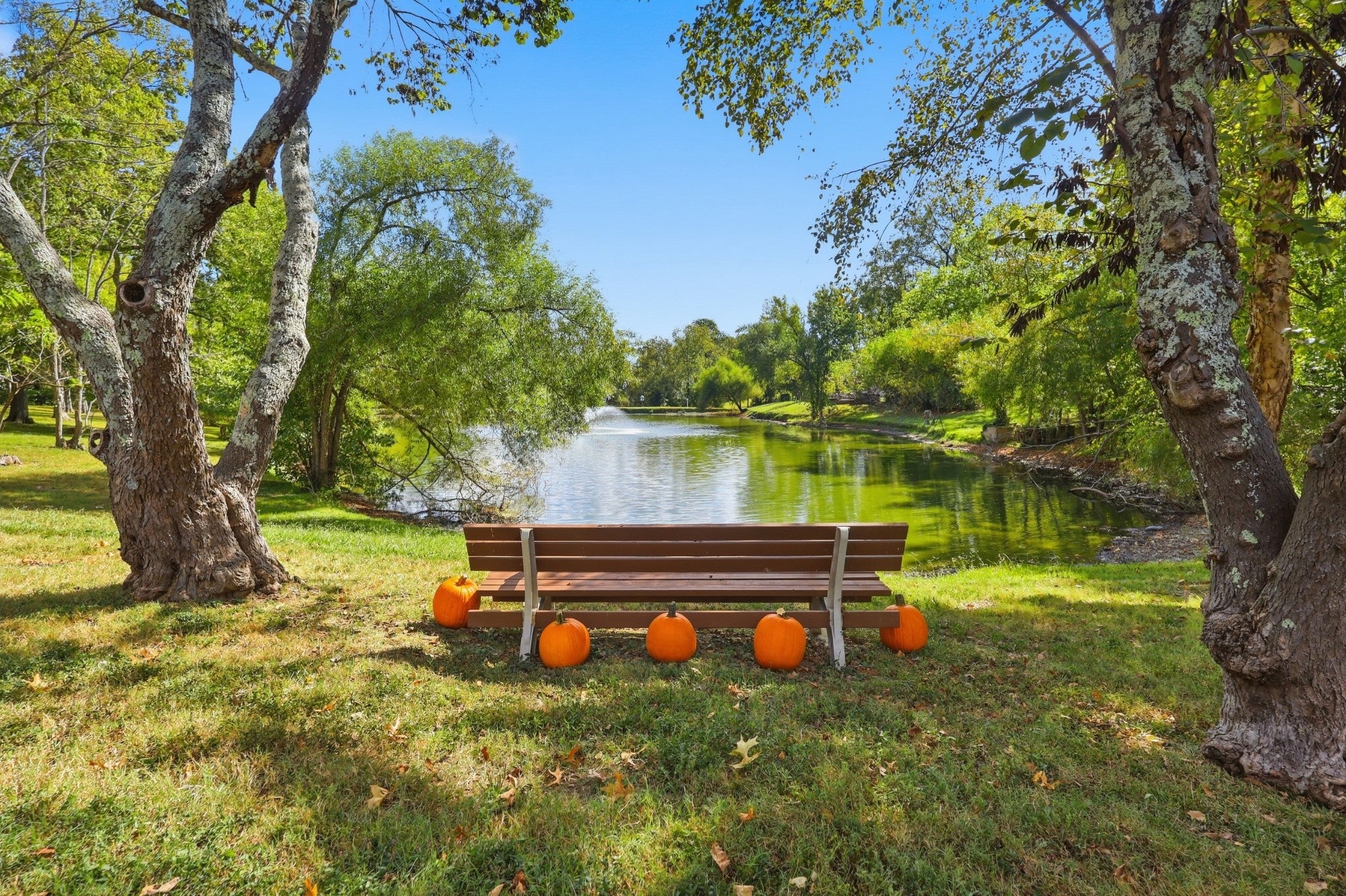 206 Belle Lake Dr