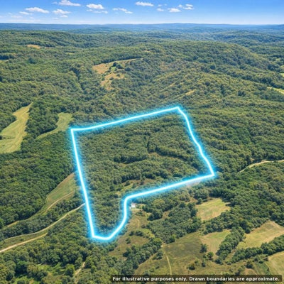 631 JAY BIRD LN, PALMERSVILLE, TN 38241 - Image d8c054b605800a9819462e5c430858d3/3219832067