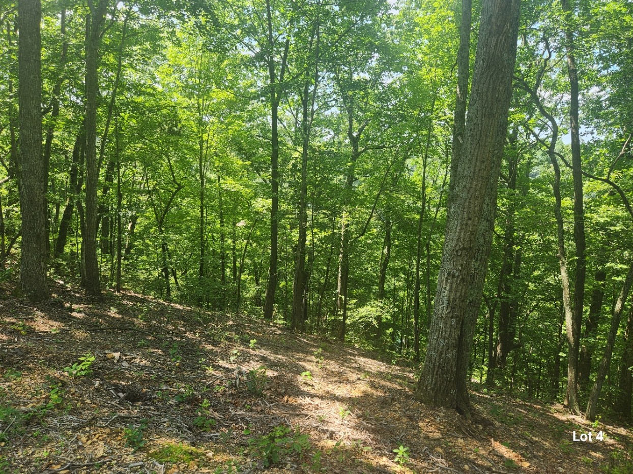 4 Savannah Dr
