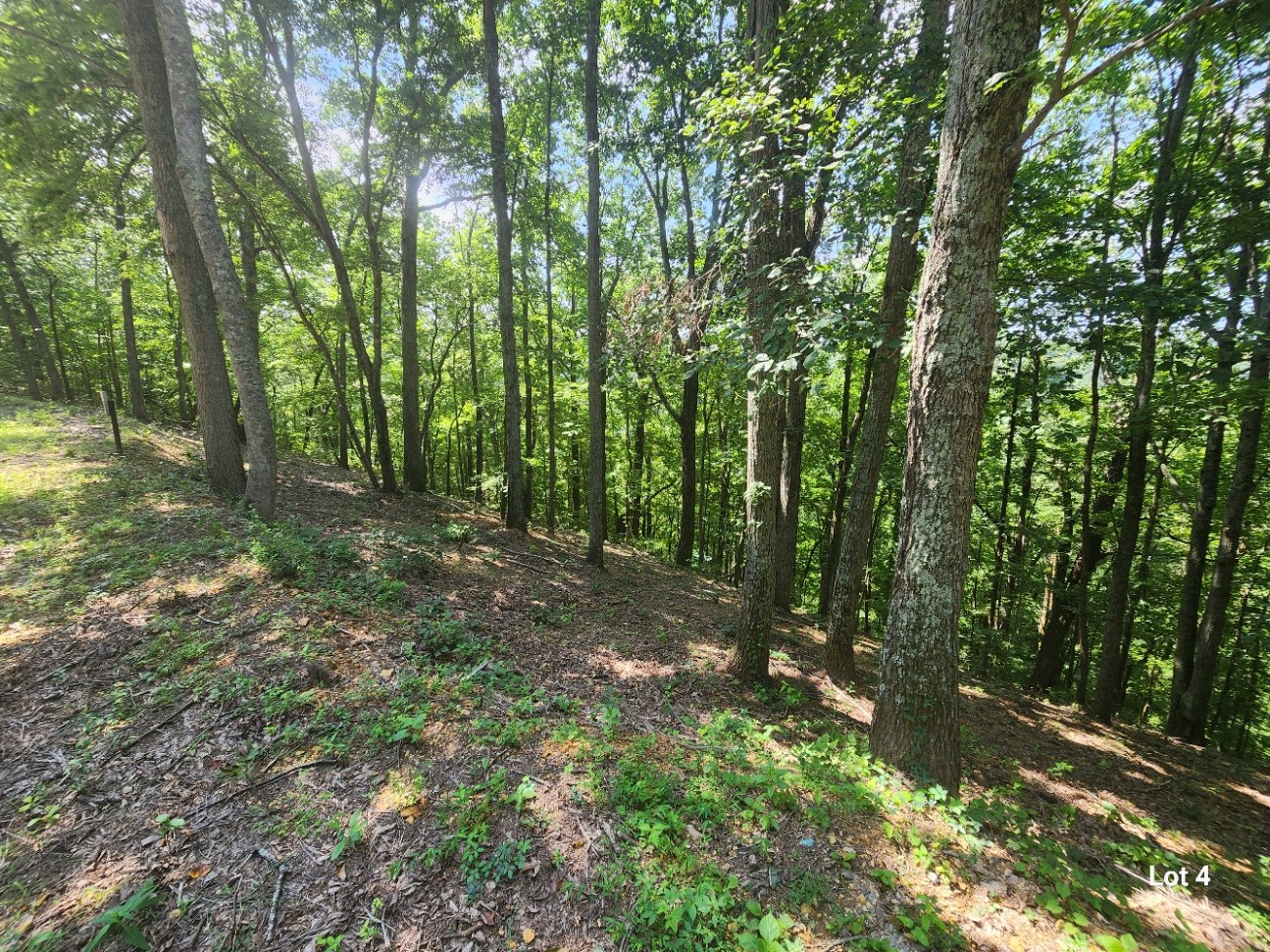 4 Savannah Dr