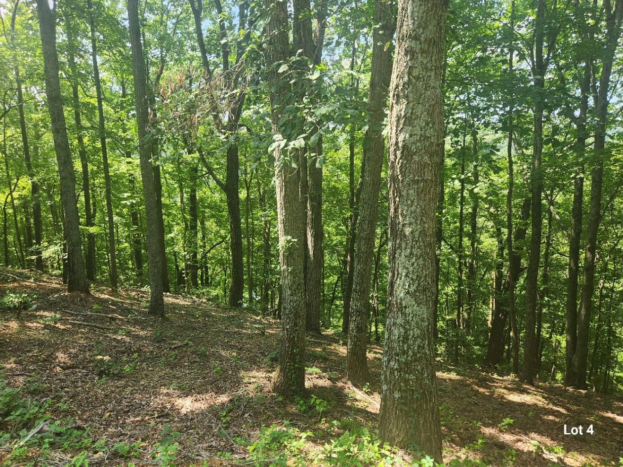 4 Savannah Dr