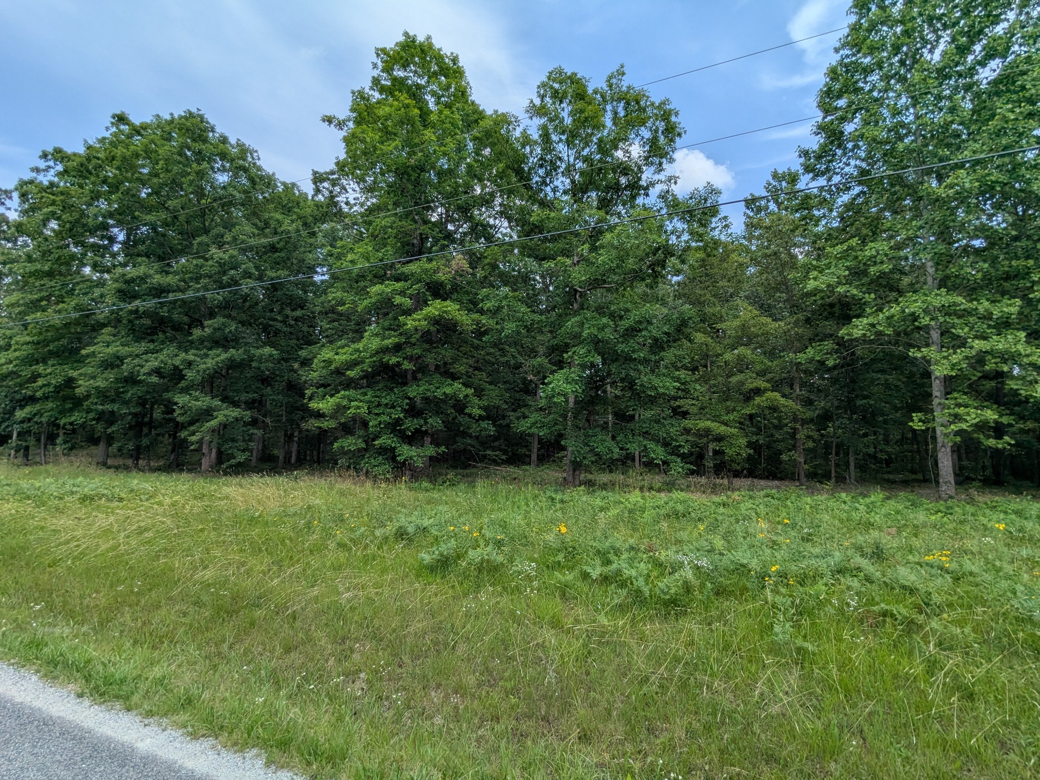 3 Brush Creek Road
