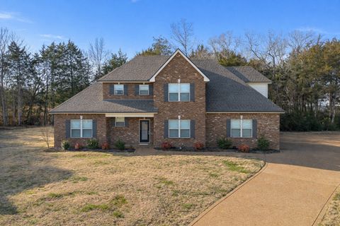 706 Aubrey Sue Pass Smyrna TN 37167