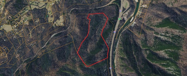 0 FOOTHILLS PARKWAY, COSBY, TN 37722 - Image d9003bb9590548cd7c8c82aaa45c46a3/3691274869