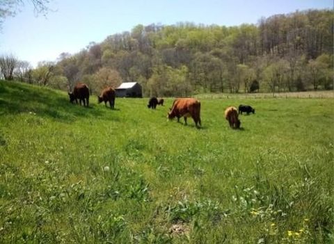 994 Bull Run Rd Lynchburg TN 37352