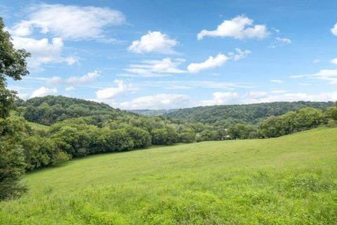 994 Bull Run Rd Lynchburg TN 37352