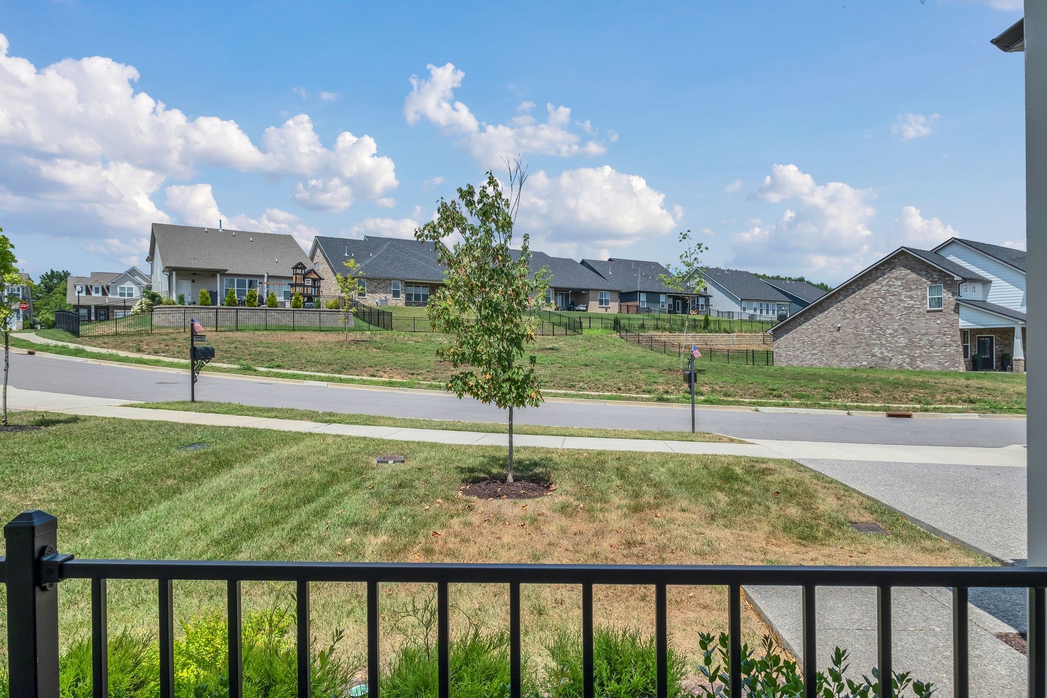 497 Black Walnut Dr