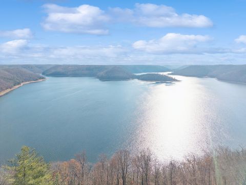 289 Dunn Ridge Rd Baxter TN 38544