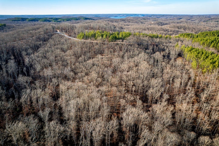 Photo 1 of 8 — 0 Richland Harbor Rd, Waverly, TN 37185