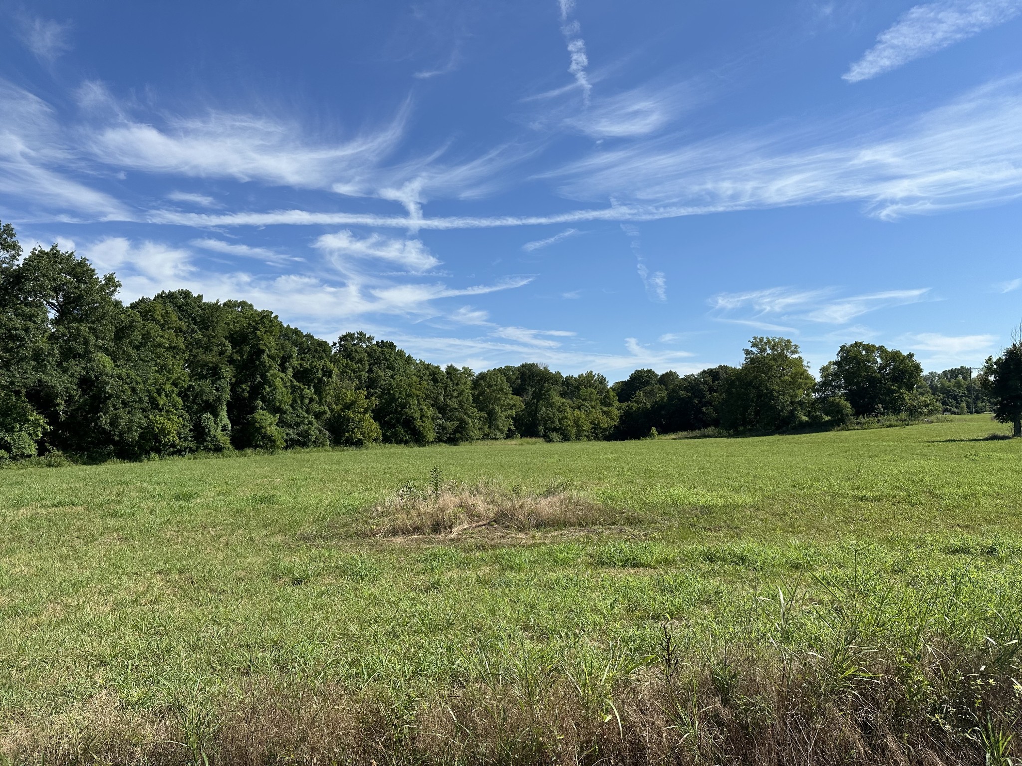 0 Golden Bear Gateway