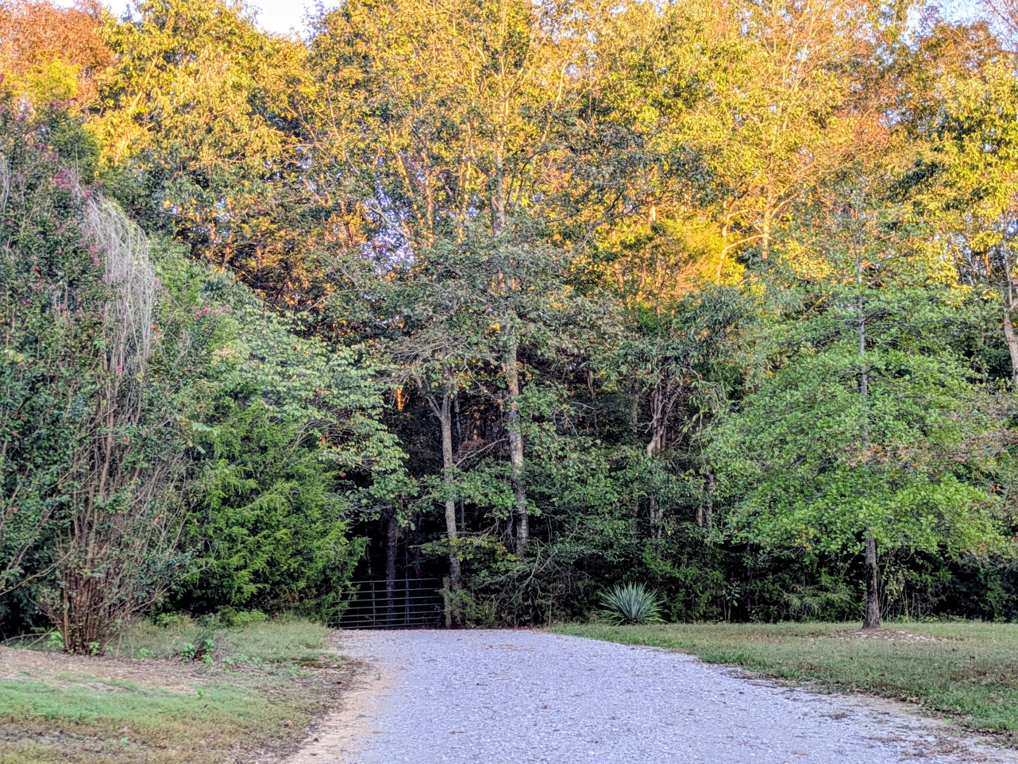 3425 Hopkins Bridge Rd