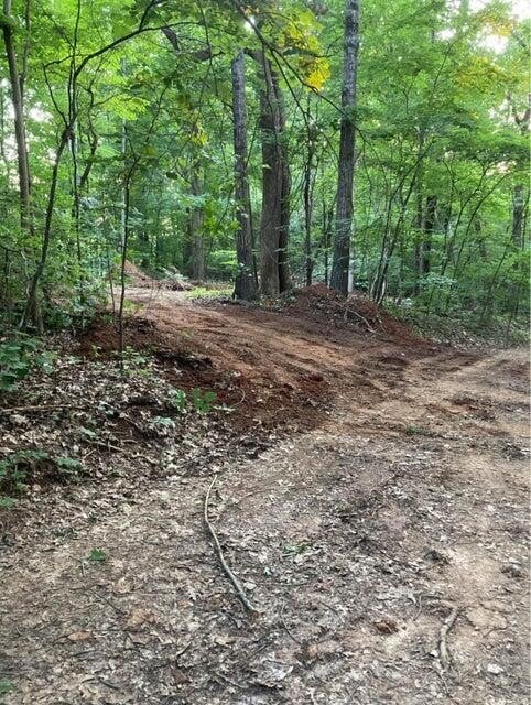 359 Co Rd 4