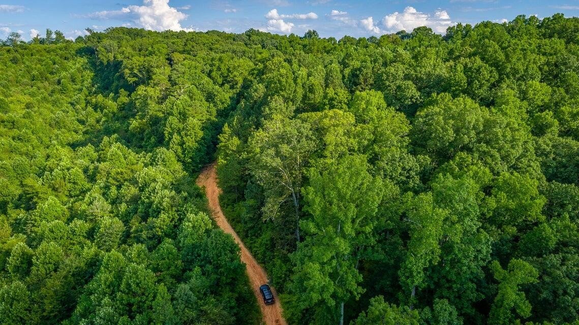 359 Co Rd 4