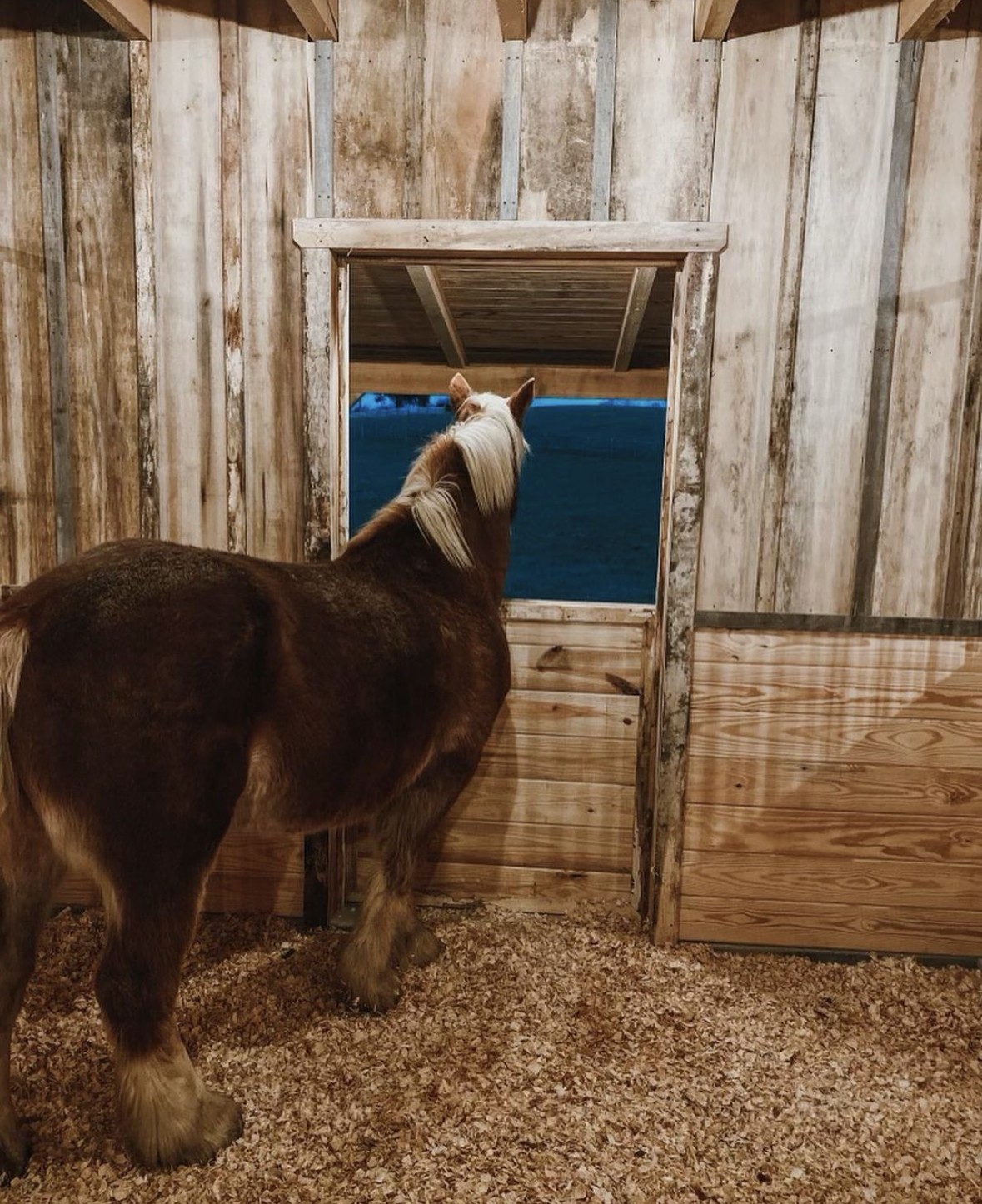 Cedar Hill, Tennessee 37032, United States, ,Residential,Active,246611