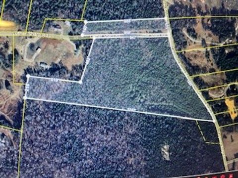 0 Carpenter Bridge Rd Columbia TN 38401