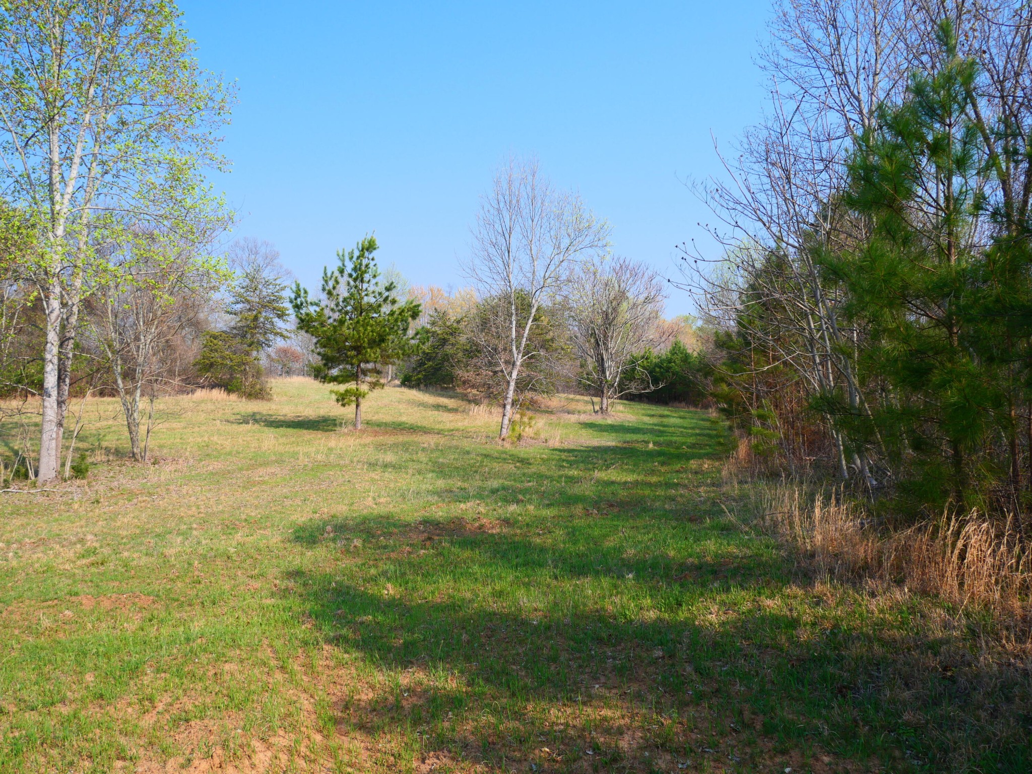 0 Daugherty Ferry Road