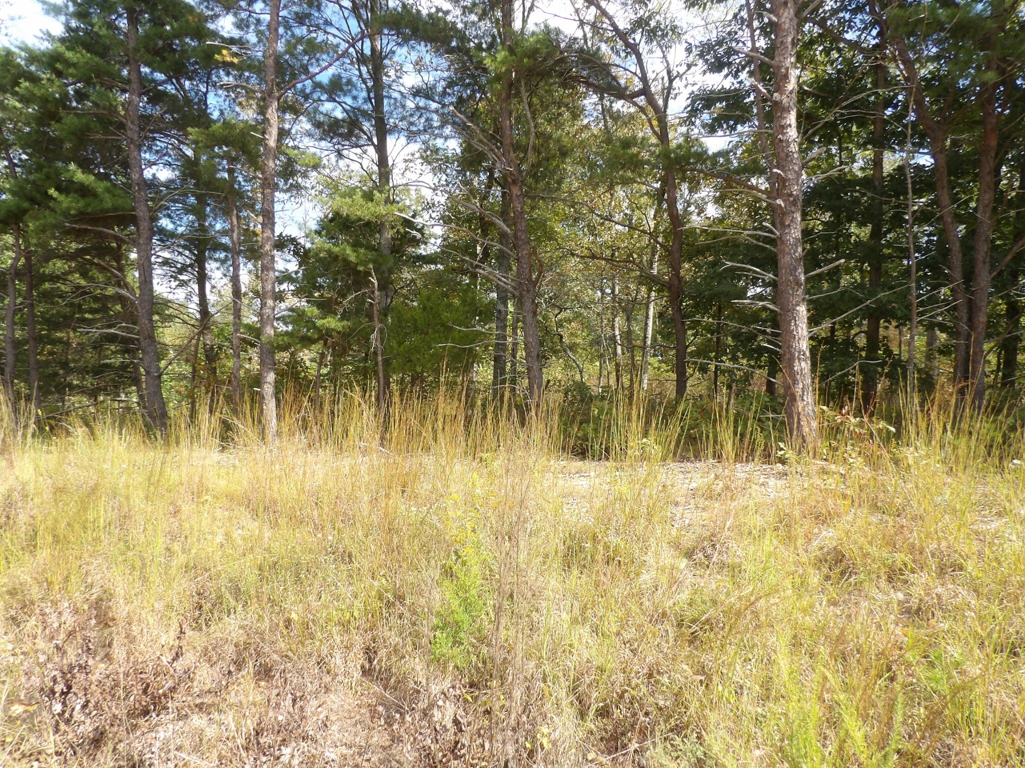 0 Williams Hollow Road