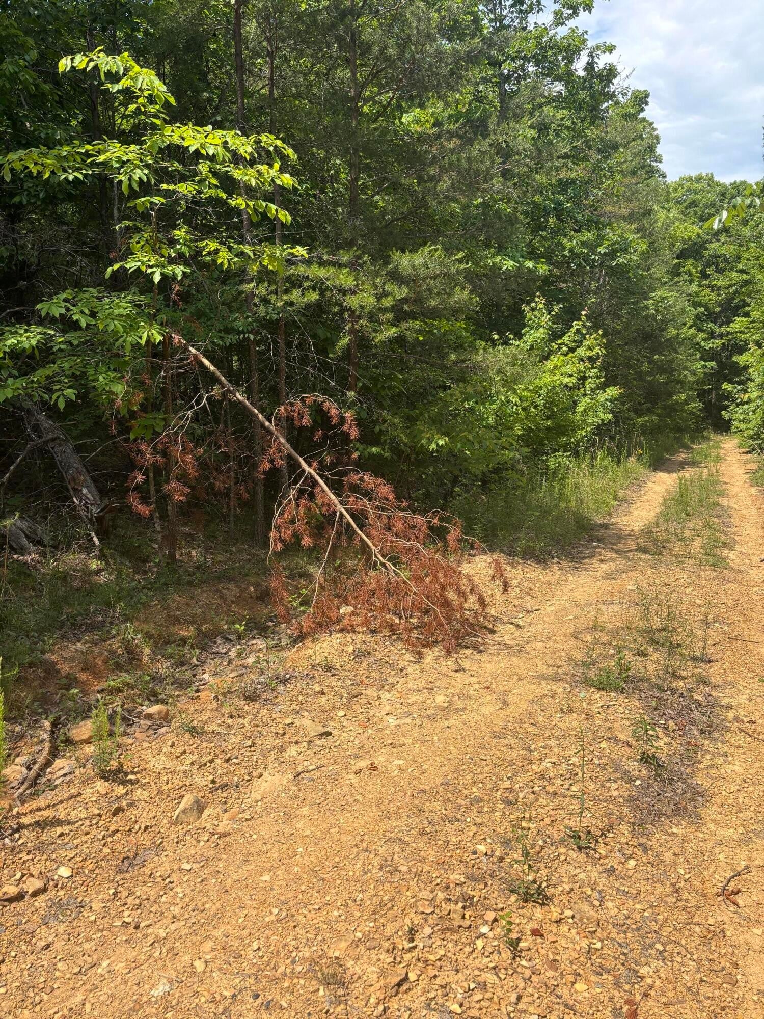 0 Sawmill Creek Rd