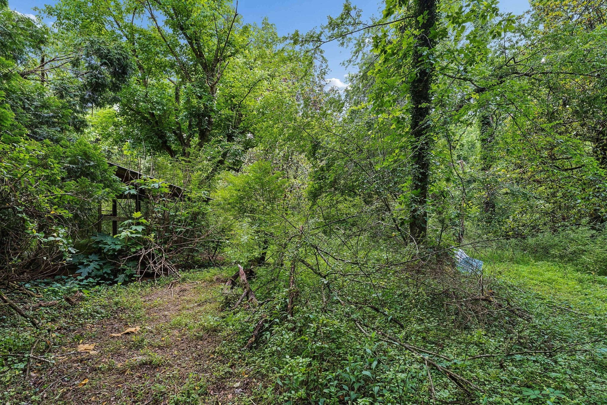 8797 Highway 100