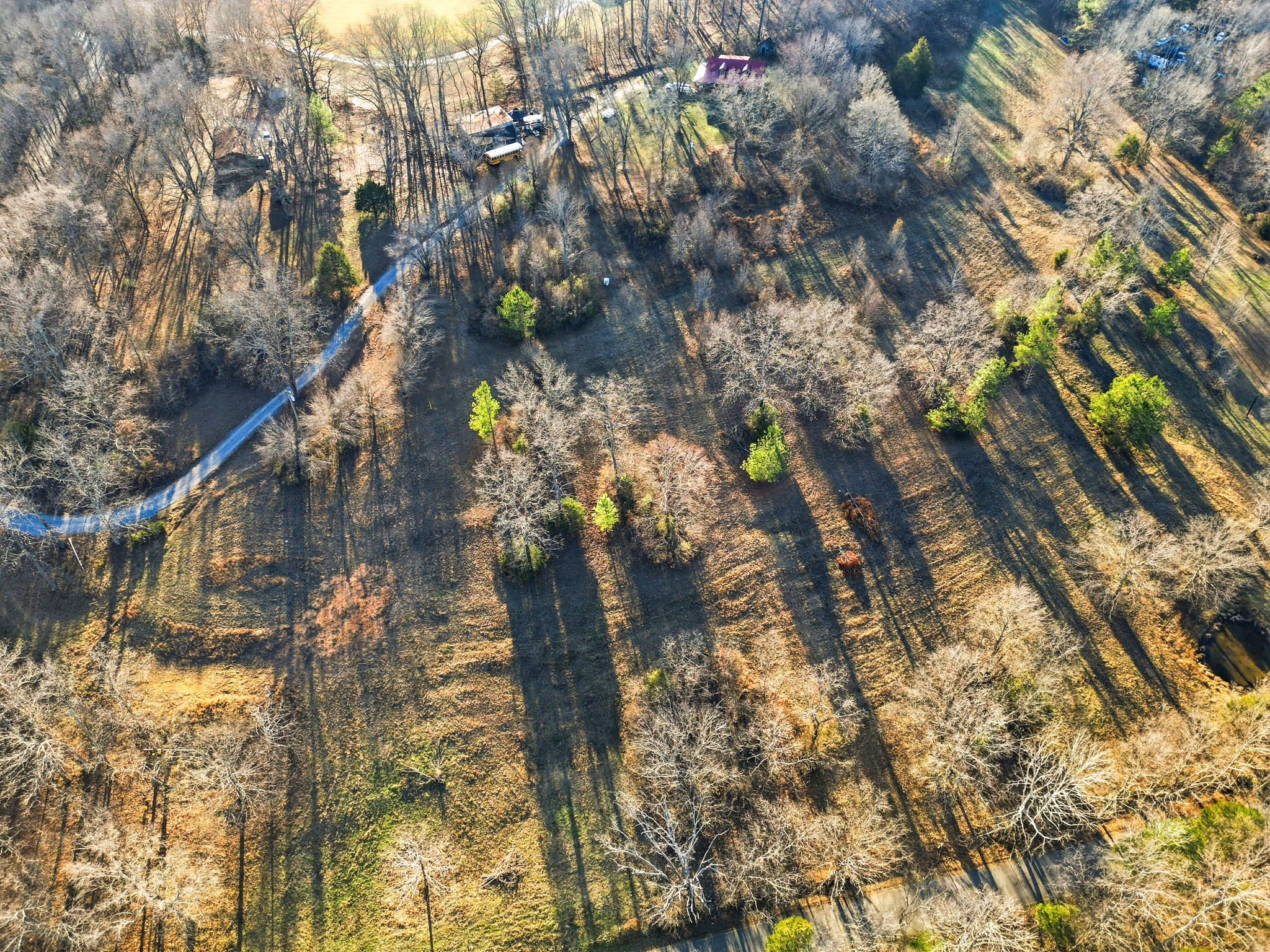 8451 Sycamore Creek Rd