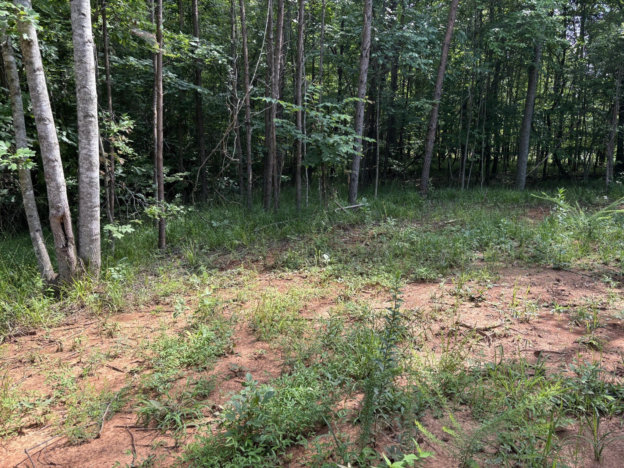 130 Tellico Camp Road
