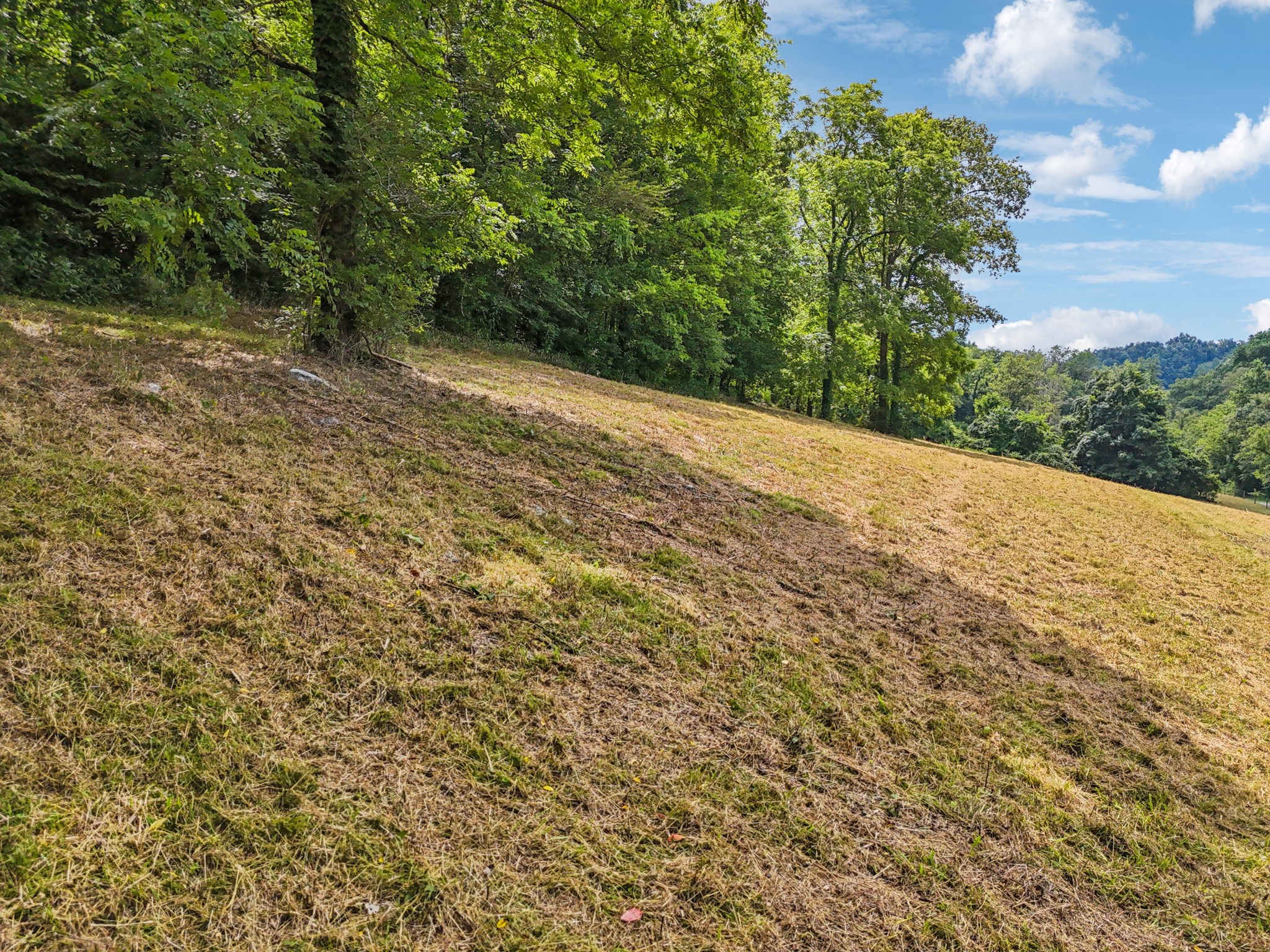 10A Puncheon Camp Ln