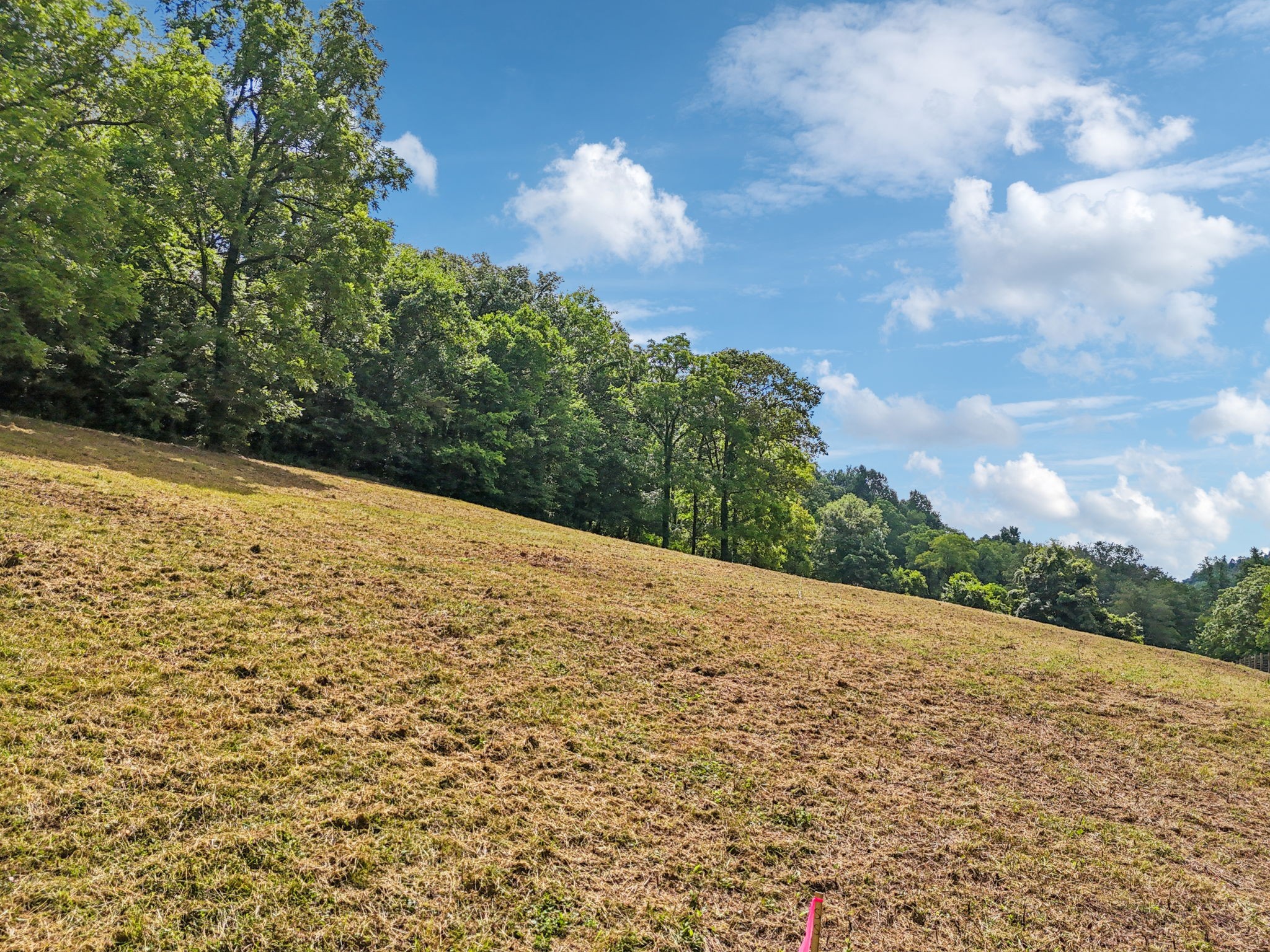 10A Puncheon Camp Ln