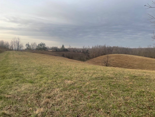 0 Bagley Hollow Rd