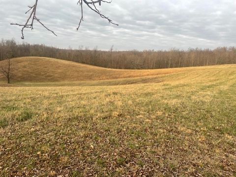 0 Bagley Hollow Rd Lynchburg TN 37352
