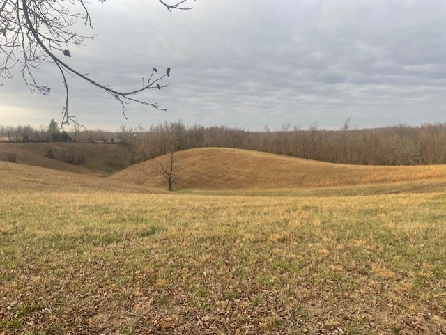 0 Bagley Hollow Rd