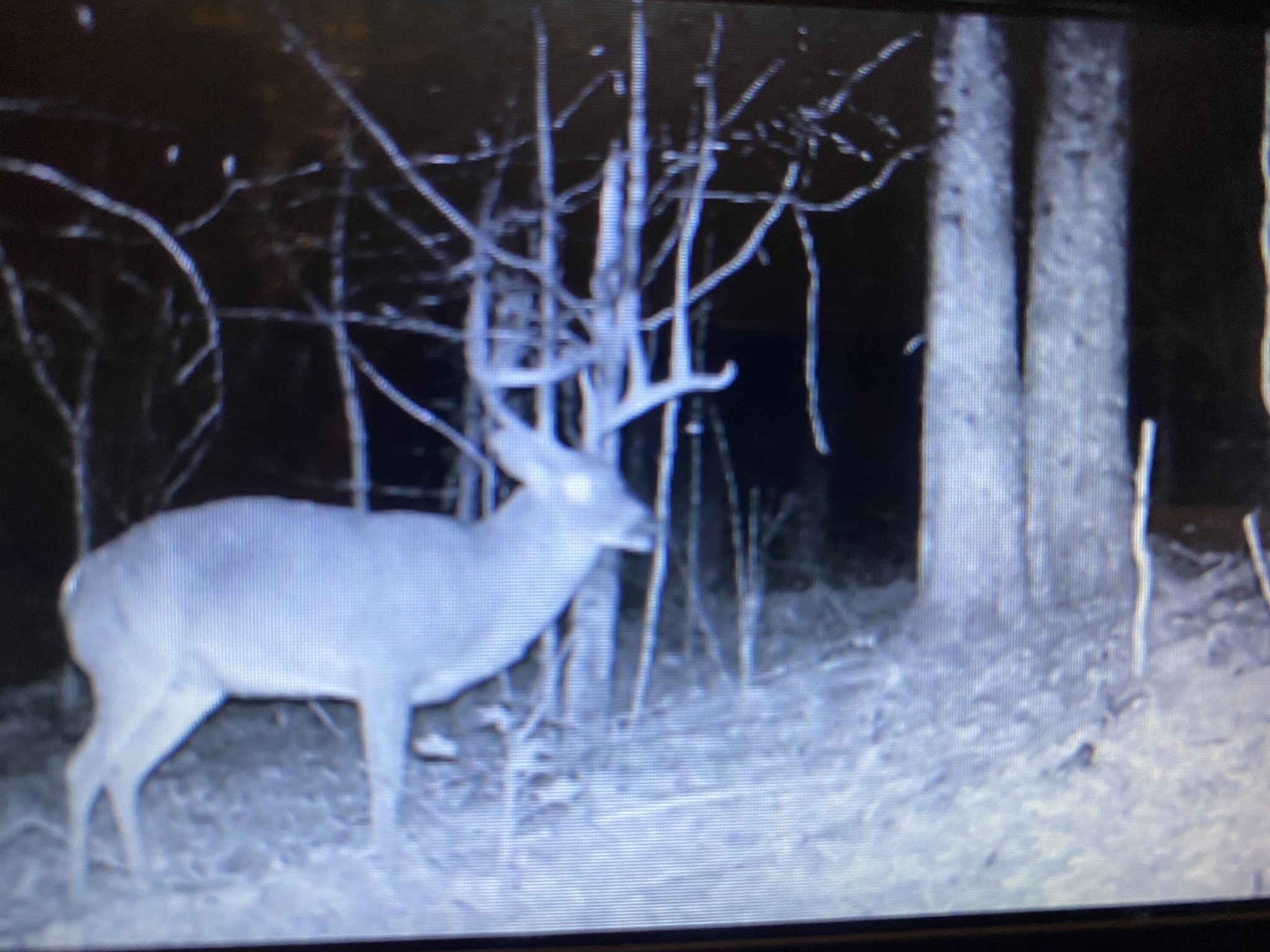 5273 Sinking Creek Rd