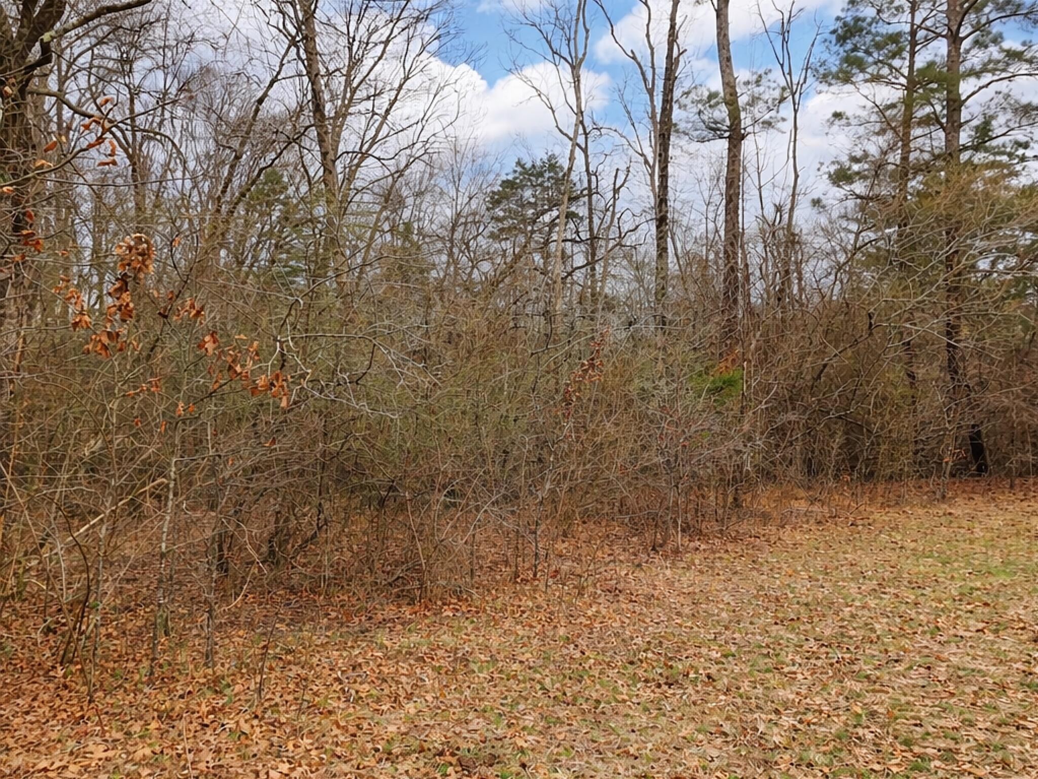 3180 Spring Place Road SE
