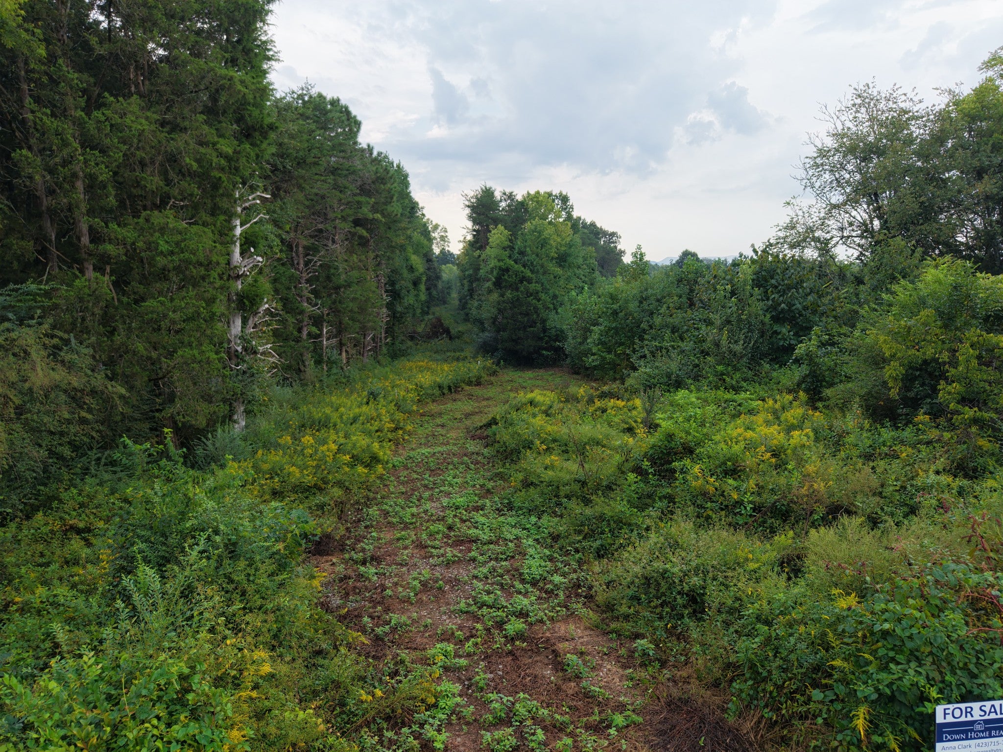 0 County Road 550