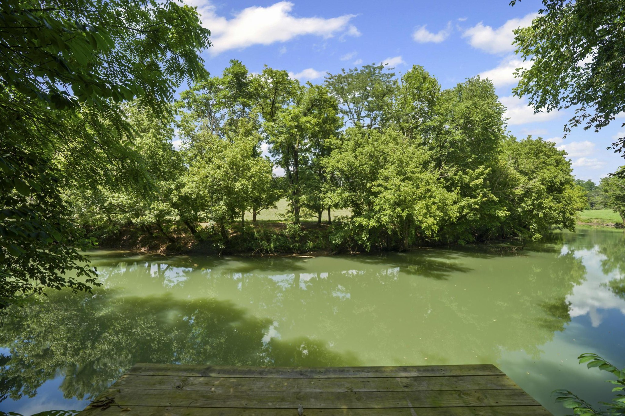 579 Blue Springs Rd