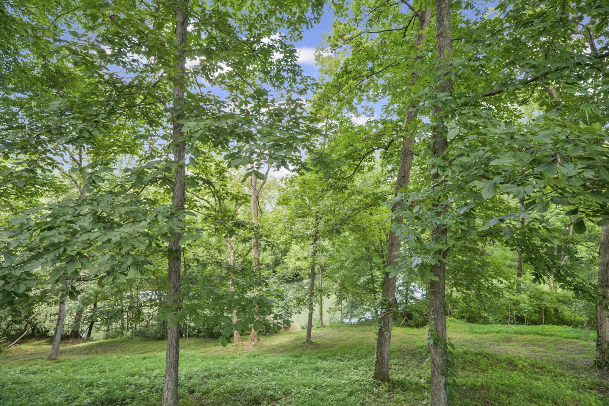 579 Blue Springs Rd